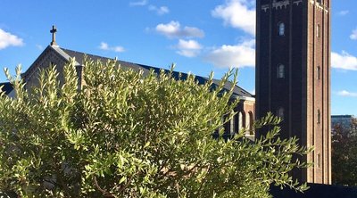 삼위일체 교회 (트리니타티스키르헤)